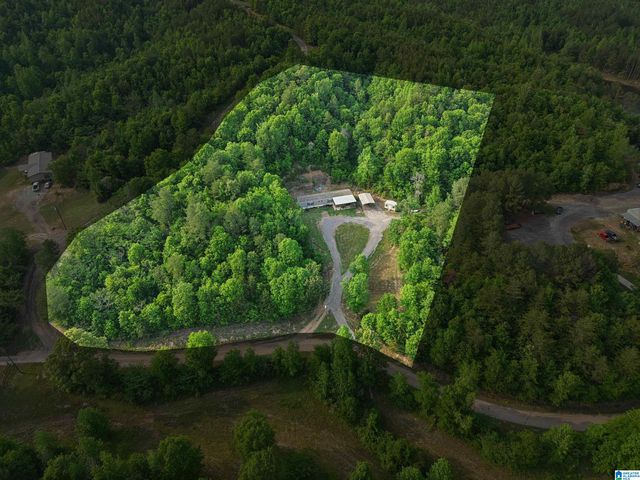 3151 VALLEY FORD ROAD, Adger, AL 35006