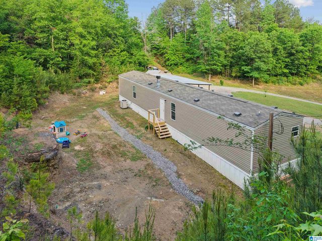 3151 VALLEY FORD ROAD, Adger, AL 35006
