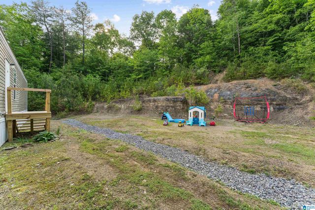 3151 VALLEY FORD ROAD, Adger, AL 35006