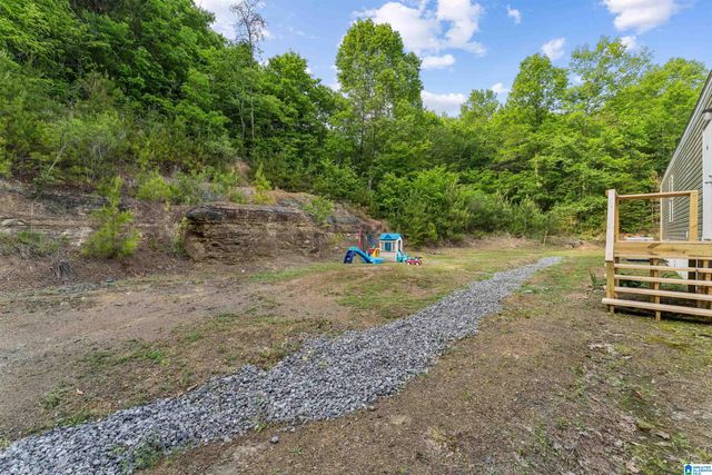 3151 VALLEY FORD ROAD, Adger, AL 35006
