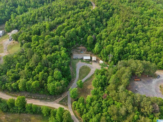 3151 VALLEY FORD ROAD, Adger, AL 35006