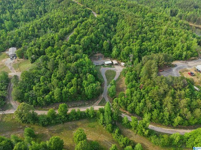 3151 VALLEY FORD ROAD, Adger, AL 35006
