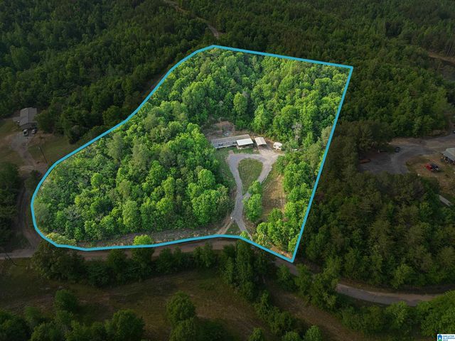 3151 VALLEY FORD ROAD, Adger, AL 35006
