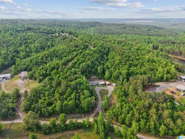 3151 VALLEY FORD ROAD, Adger, AL 35006