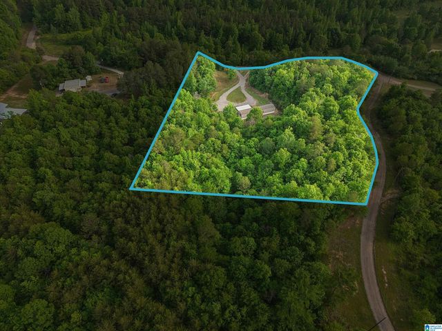 3151 VALLEY FORD ROAD, Adger, AL 35006