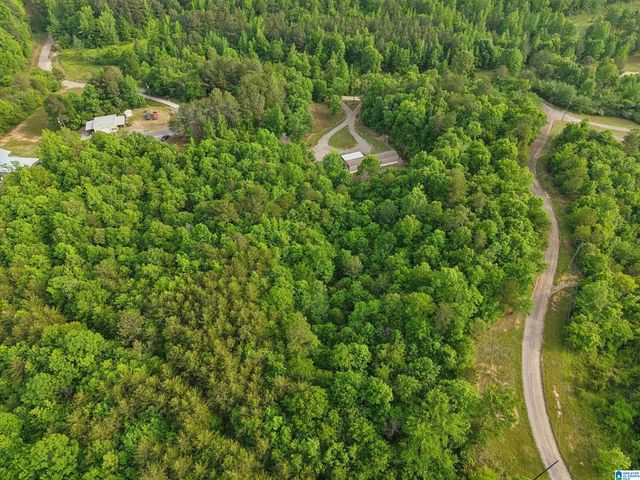 3151 VALLEY FORD ROAD, Adger, AL 35006