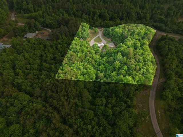 3151 VALLEY FORD ROAD, Adger, AL 35006