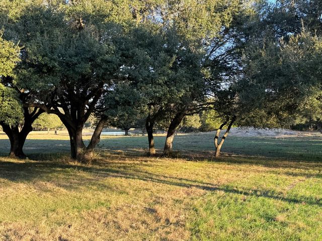 TBD Rubin Lee Road, Cat Spring, TX 78933