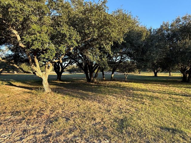 TBD Rubin Lee Road, Cat Spring, TX 78933