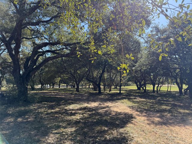 TBD Rubin Lee Road, Cat Spring, TX 78933