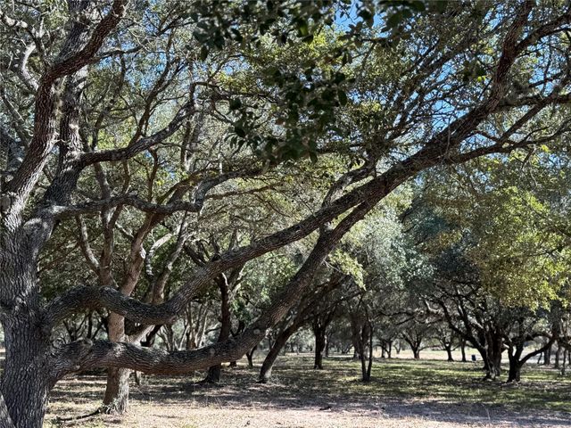 TBD Rubin Lee Road, Cat Spring, TX 78933