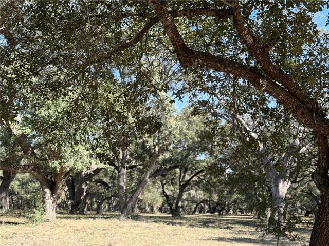 TBD Rubin Lee Road, Cat Spring, TX 78933