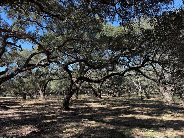 TBD Rubin Lee Road, Cat Spring, TX 78933