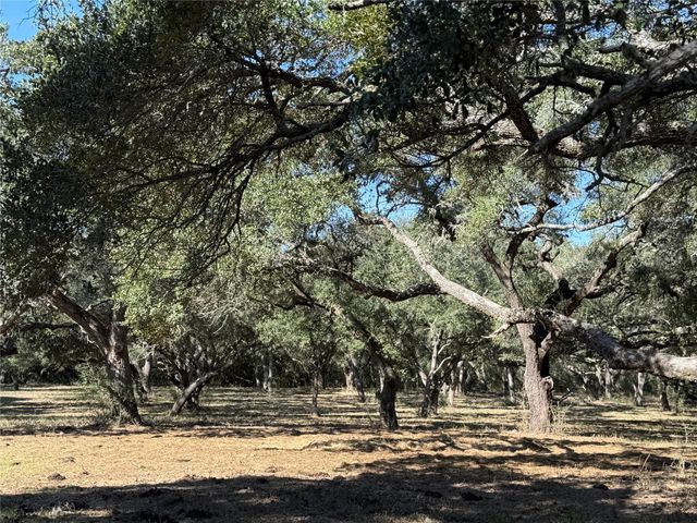 TBD Rubin Lee Road, Cat Spring, TX 78933