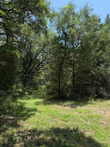 TBD Rubin Lee Road, Cat Spring, TX 78933