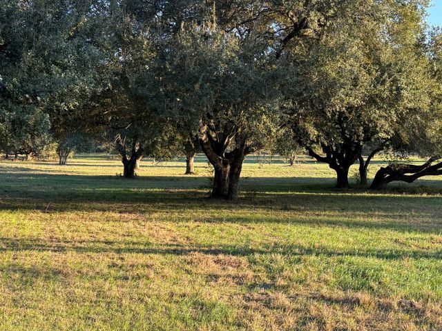 TBD Rubin Lee Road, Cat Spring, TX 78933