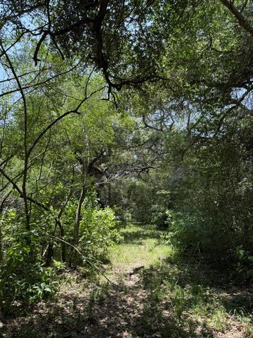 TBD Rubin Lee Road, Cat Spring, TX 78933