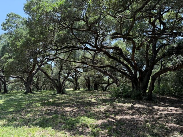 TBD Rubin Lee Road, Cat Spring, TX 78933