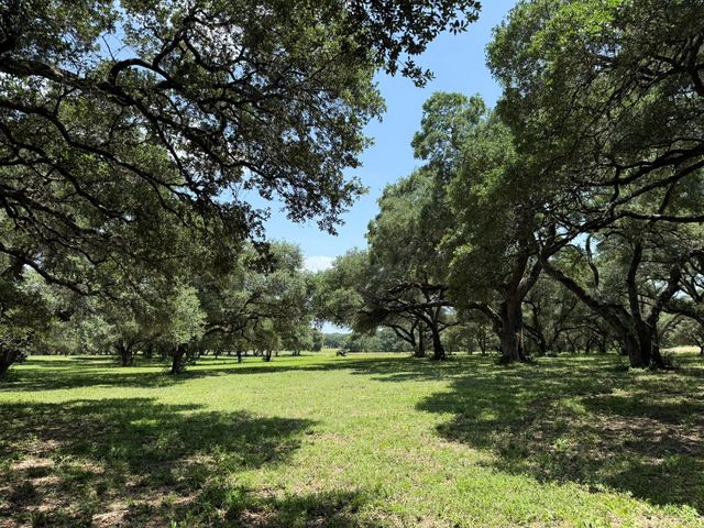TBD Rubin Lee Road, Cat Spring, TX 78933