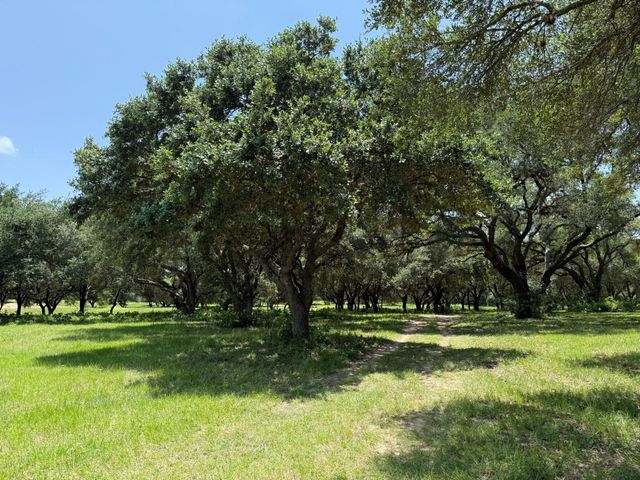 TBD Rubin Lee Road, Cat Spring, TX 78933