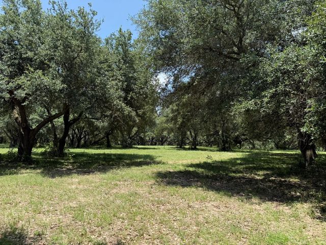 TBD Rubin Lee Road, Cat Spring, TX 78933