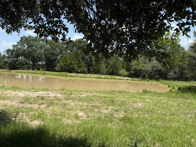 TBD Rubin Lee Road, Cat Spring, TX 78933