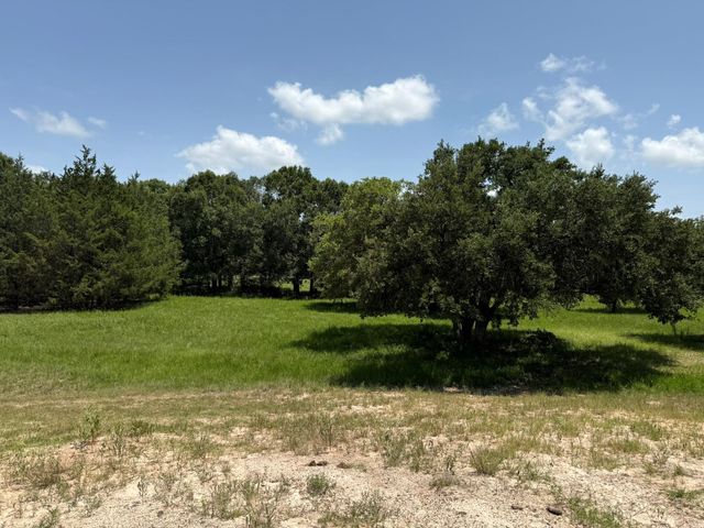 TBD Rubin Lee Road, Cat Spring, TX 78933