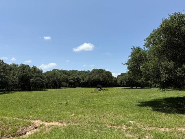TBD Rubin Lee Road, Cat Spring, TX 78933