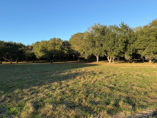 TBD Rubin Lee Road, Cat Spring, TX 78933