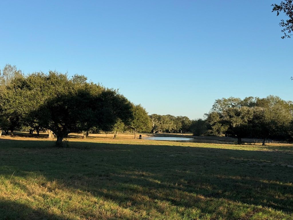 TBD Rubin Lee Road, Cat Spring, TX 78933