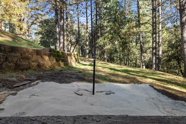 11650 Clinton Bar Rd, Pine Grove, CA 95665