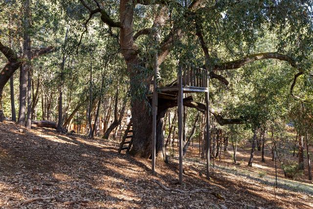 11650 Clinton Bar Rd, Pine Grove, CA 95665