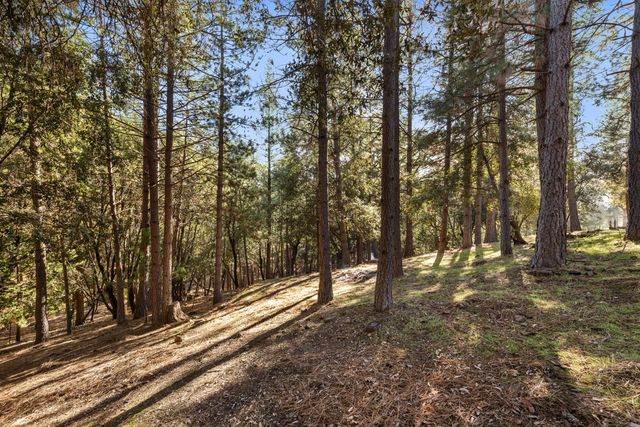 11650 Clinton Bar Rd, Pine Grove, CA 95665