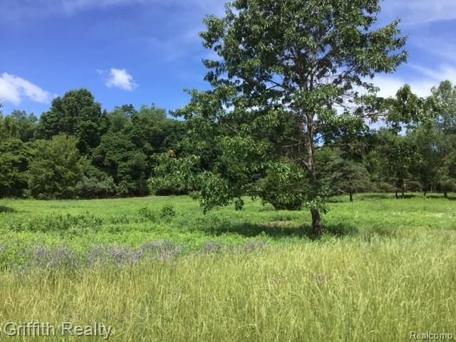 Parcel 1 E Coon Lake Road, Howell, MI 48843