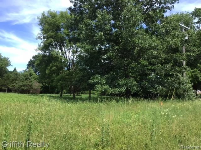 Parcel 1 E Coon Lake Road, Howell, MI 48843