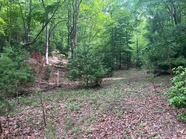 Lot 64 Cirrus Drive, Murphy, NC 28906