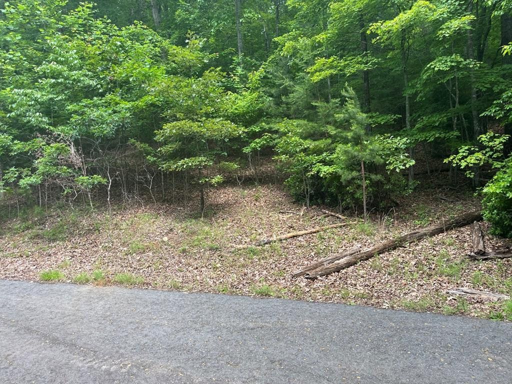 Lot 64 Cirrus Drive, Murphy, NC 28906