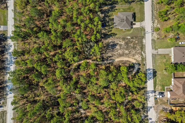 12348 SNOWY EGRET AVENUE, Weeki Wachee, FL 34614
