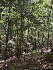 130 Trillium Road, Wetumpka, AL 36092