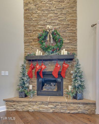 1024 Little Shadden Way, Gray, TN 37615