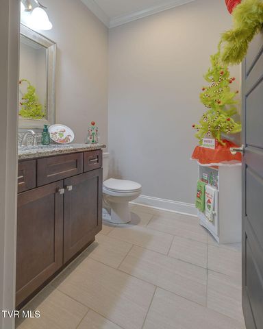 1024 Little Shadden Way, Gray, TN 37615