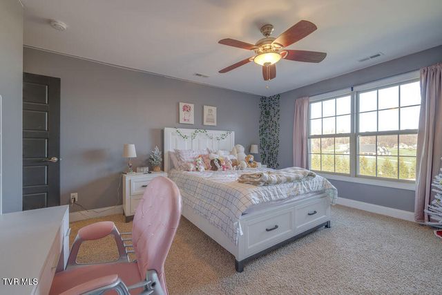 1024 Little Shadden Way, Gray, TN 37615