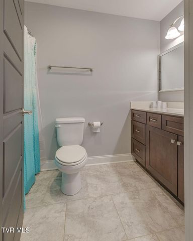 1024 Little Shadden Way, Gray, TN 37615