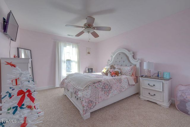 1024 Little Shadden Way, Gray, TN 37615