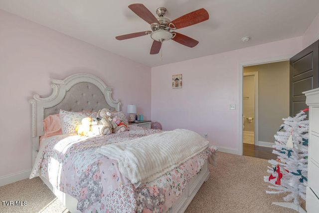 1024 Little Shadden Way, Gray, TN 37615