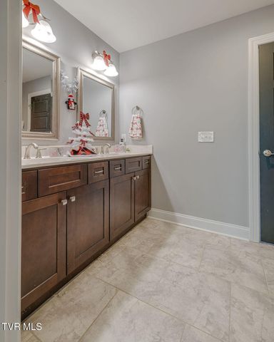 1024 Little Shadden Way, Gray, TN 37615