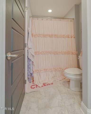 1024 Little Shadden Way, Gray, TN 37615