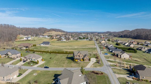 1024 Little Shadden Way, Gray, TN 37615