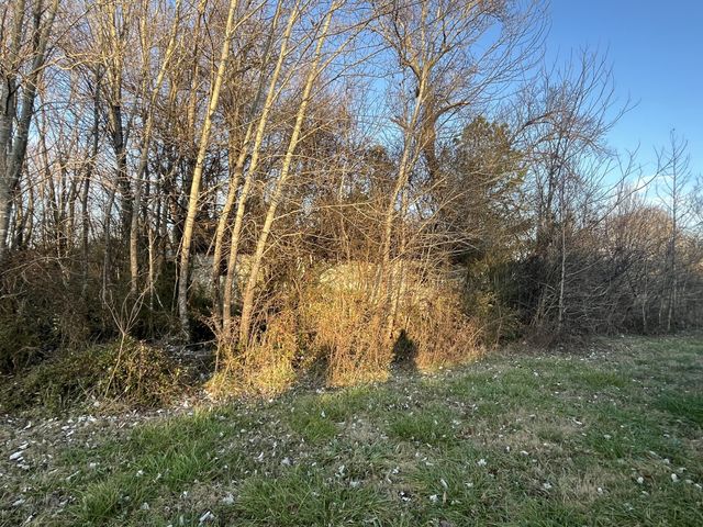 4415 Highway 43, Ethridge, TN 38456