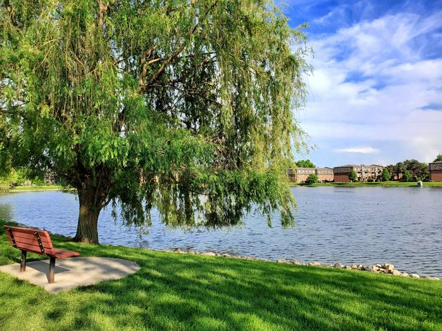 9374 Bay Colony Drive 2S, Des Plaines, IL 60016